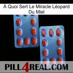 À Quoi Sert Le Miracle Léopard Du Miel 05